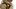 Slender Slim Earth Reveals Huge Round Tits: Ladyboy